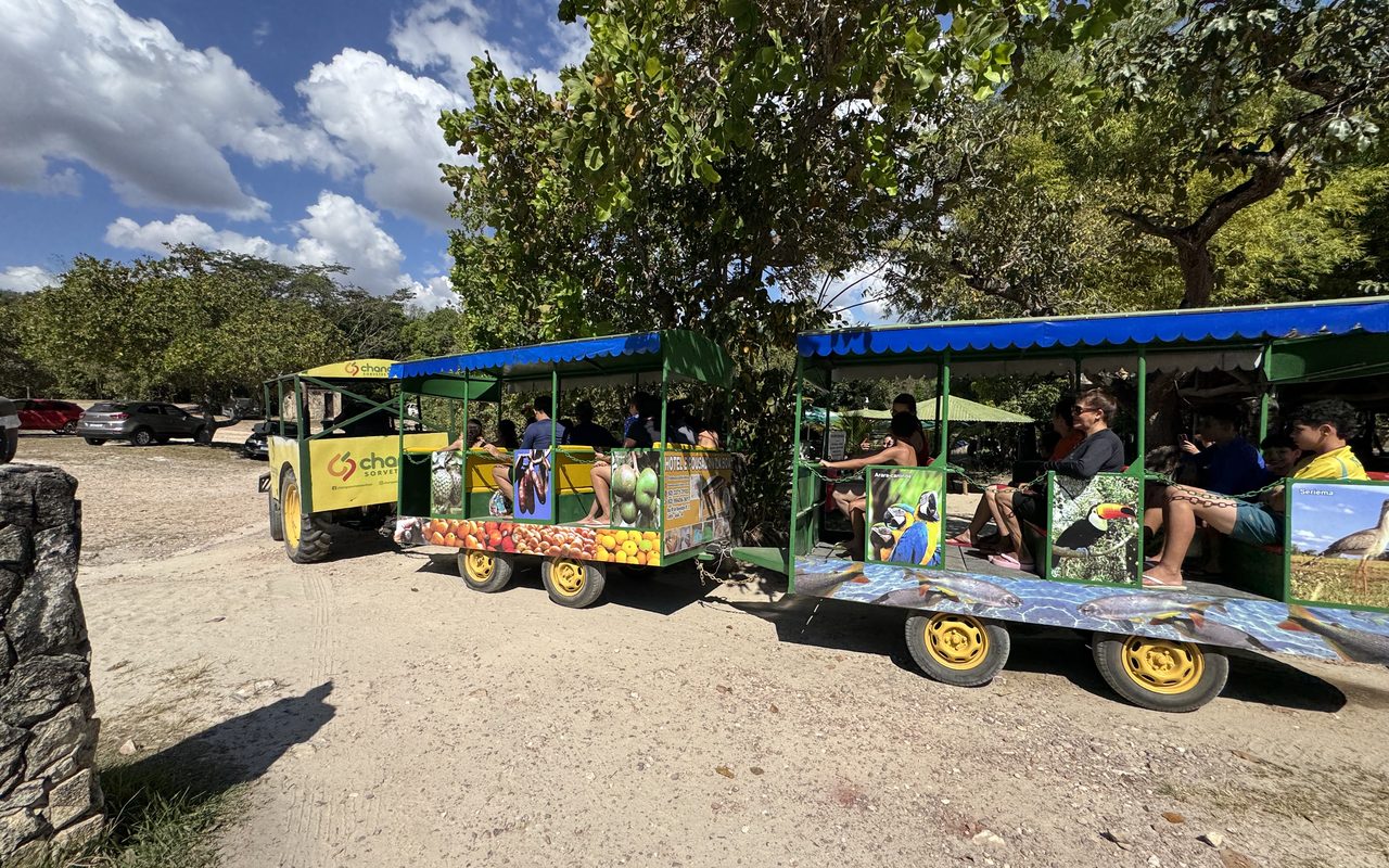 Trenzinho do balneário levando visitantes pela propriedade